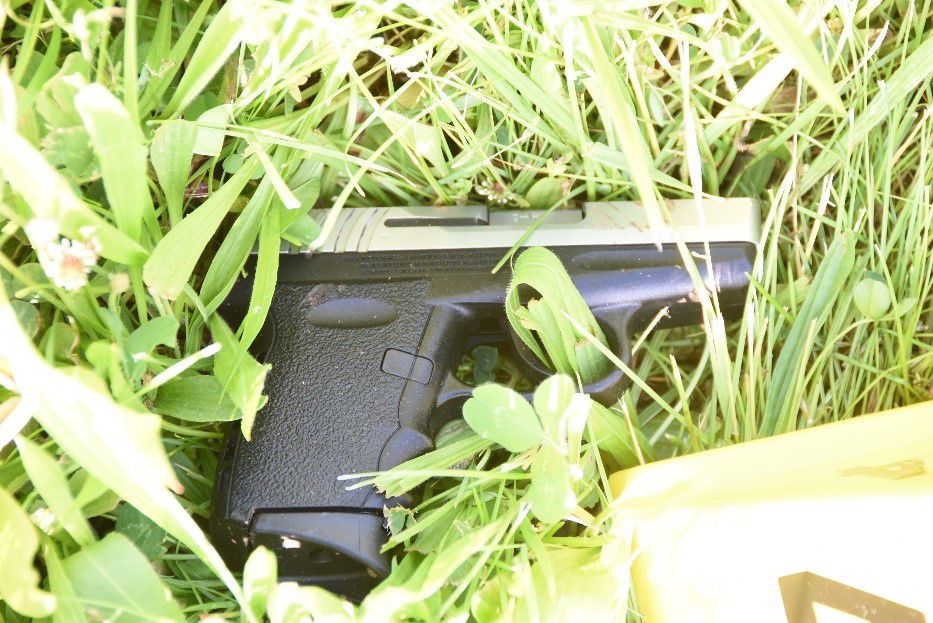 Gun in grass 2